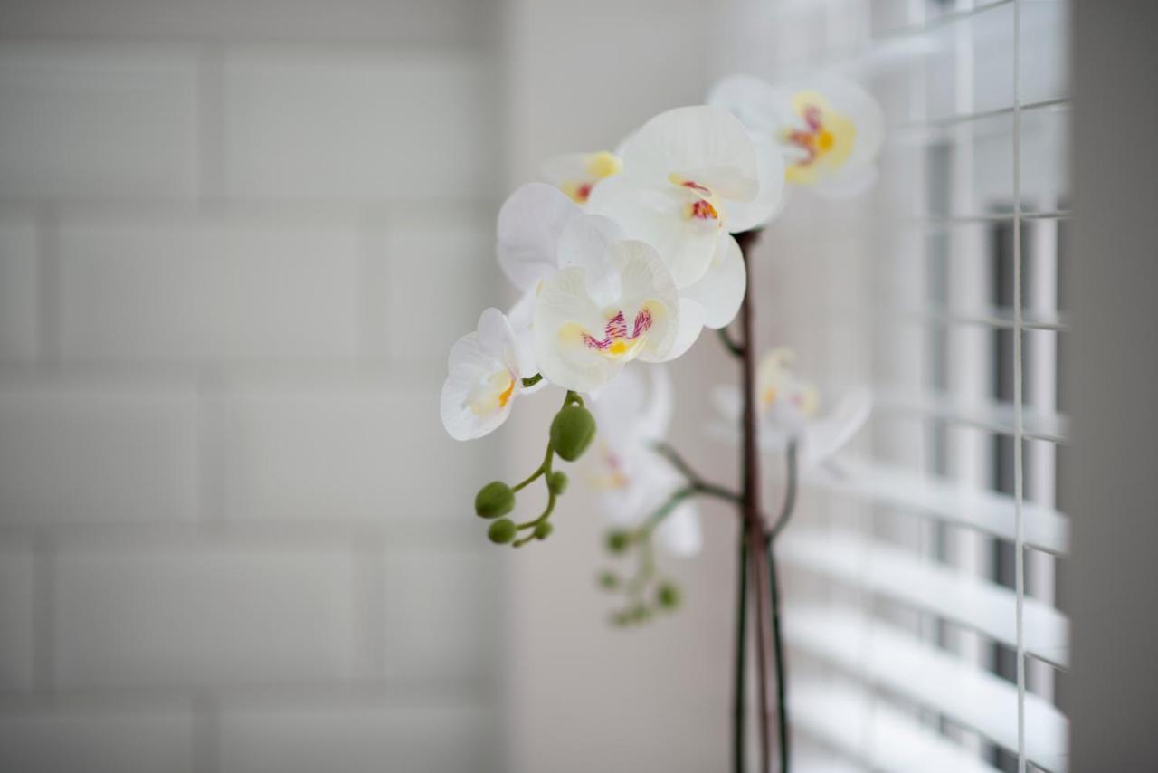 Harold House - Modern Open Plan 4 Bedroom, 3 Bathroom House In Central Southsea, 朴次茅斯 外观 照片